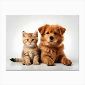 Dog And Cat 09 Canvas Print