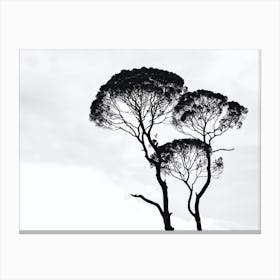 Black And White Tree Silhouette Canvas Print