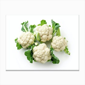 Cauliflower 9 Canvas Print