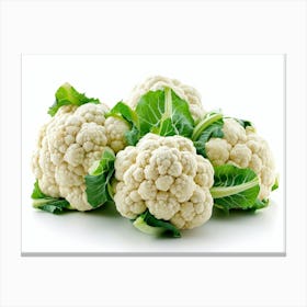 Cauliflower 6 Canvas Print