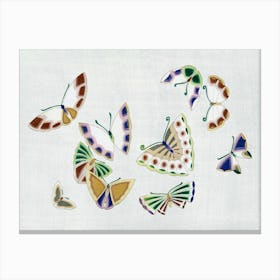 Japanese Butterfly, Cho Senshu (7) Canvas Print