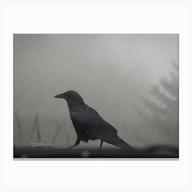 Crow In The Fog Canvas Print