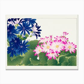 Chrysanthemums Canvas Print