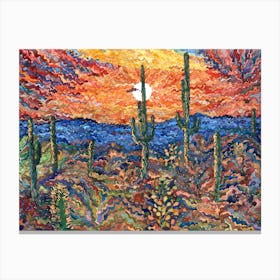 Saguaro National Park Canvas Print