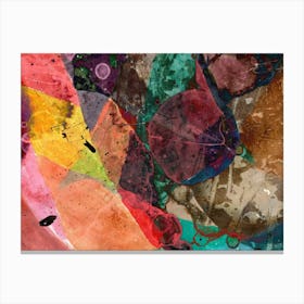 Abstraction Color Palette Canvas Print