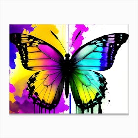 Colorful Butterfly 12 Canvas Print