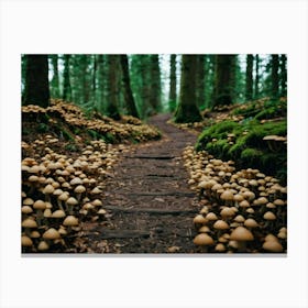 Mushroom path through the Forest Canvas Print