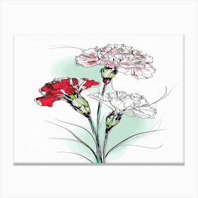 Carnations 1 Canvas Print