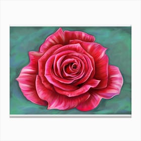 A red rose Canvas Print