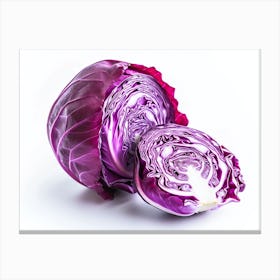 Red Cabbage (6) Canvas Print