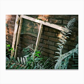 Abandoned Window // The Netherlands Travel Photography Canvas Print