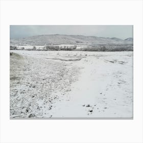 Snowy Landscape 1 Canvas Print