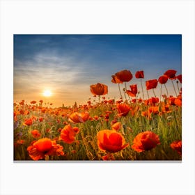 Poppies In The Sunset Canvas Print