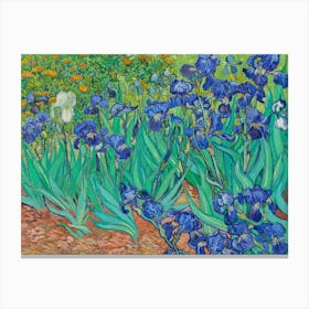 Van Gogh - Irises 2 Canvas Print