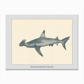 Hammerhead Shark Grey Silhouette 3 Poster Canvas Print