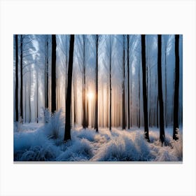 Frost Covered Forest At Dawn Canvas Print