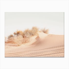 Warm Desert Dunes Canvas Print