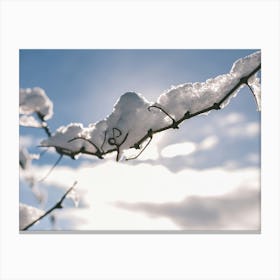 Unitltled 01 - Snow in the Vineyard Series Canvas Print