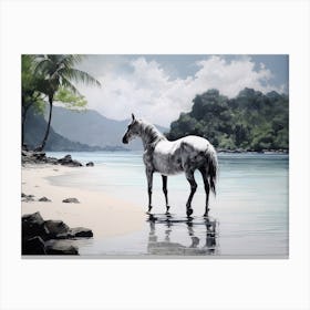 A Horse Oil Painting In El Nido Beaches, Philippines, Landscape 2 Canvas Print