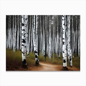 Birch Forest 82 Canvas Print