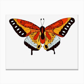 Butterfly Canvas Print