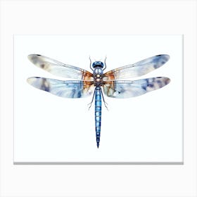 Dragonfly Blue Eyed Darner Aeshna Illustration Minimal 5 Canvas Print