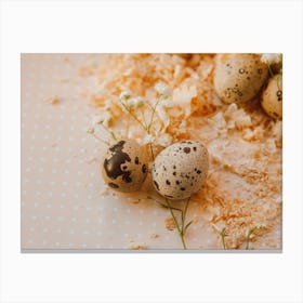 Quail Eggs Canvas Print