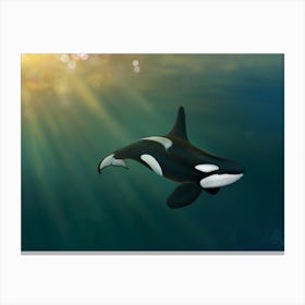 Orca underwater Canvas Print