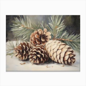 Still Life Pine Cones Canvas Print