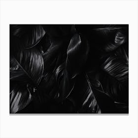 Black And White Leaves Canvas Print