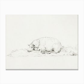 Lying Sheep, Jean Bernard Canvas Print