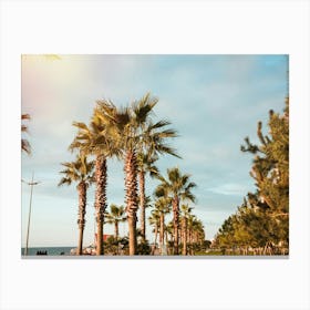 Palm Trees On The Beach 1 Canvas Print