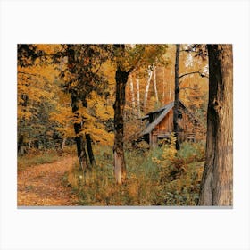 Cabin In Fall Forest Canvas Print