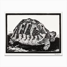 Turtle, Julie De Graag Canvas Print