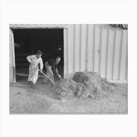 Untitled Photo, Possibly Related To Working Cowboys Cleaning Out The Stock Barns At The San Angelo Fat Stock Canvas Print