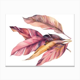 Watercolor Feathers 13 Canvas Print