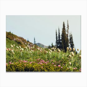 Summer Wildflowers In The Mountains Canvas Print