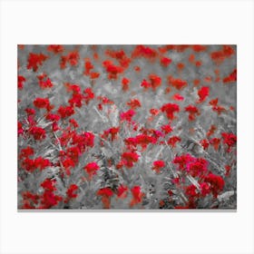 Red Flowers, Field, Oil Painting Canvas Print