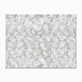 'Silver Lace' Canvas Print