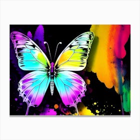 Colorful Butterfly 16 Canvas Print