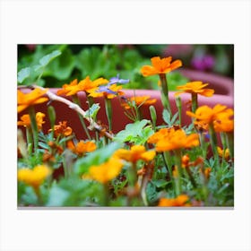 Group Of Orange Flowers With A Green Stem In The Garden Canvas Print