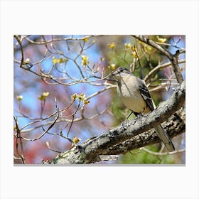 Bird Looking at You Canvas Print