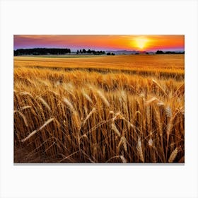 Sunset Over A Wheat Field 8 Canvas Print