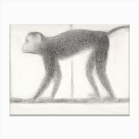 Monkey (1884), Georges Seurat Canvas Print