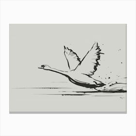 Swan In Flight Canvas Print