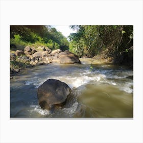 River Nature Canvas Print