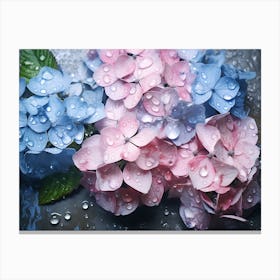 Hydrangeas 22 Canvas Print