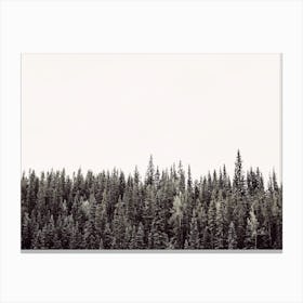 Dense Forest Canvas Print