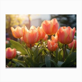 Tulips In The Garden 4 Canvas Print