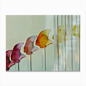 Glass fish Canvas Print